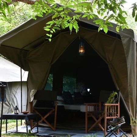 Explorer By Eco Team - Wasgamuwa National Park Luaran gambar