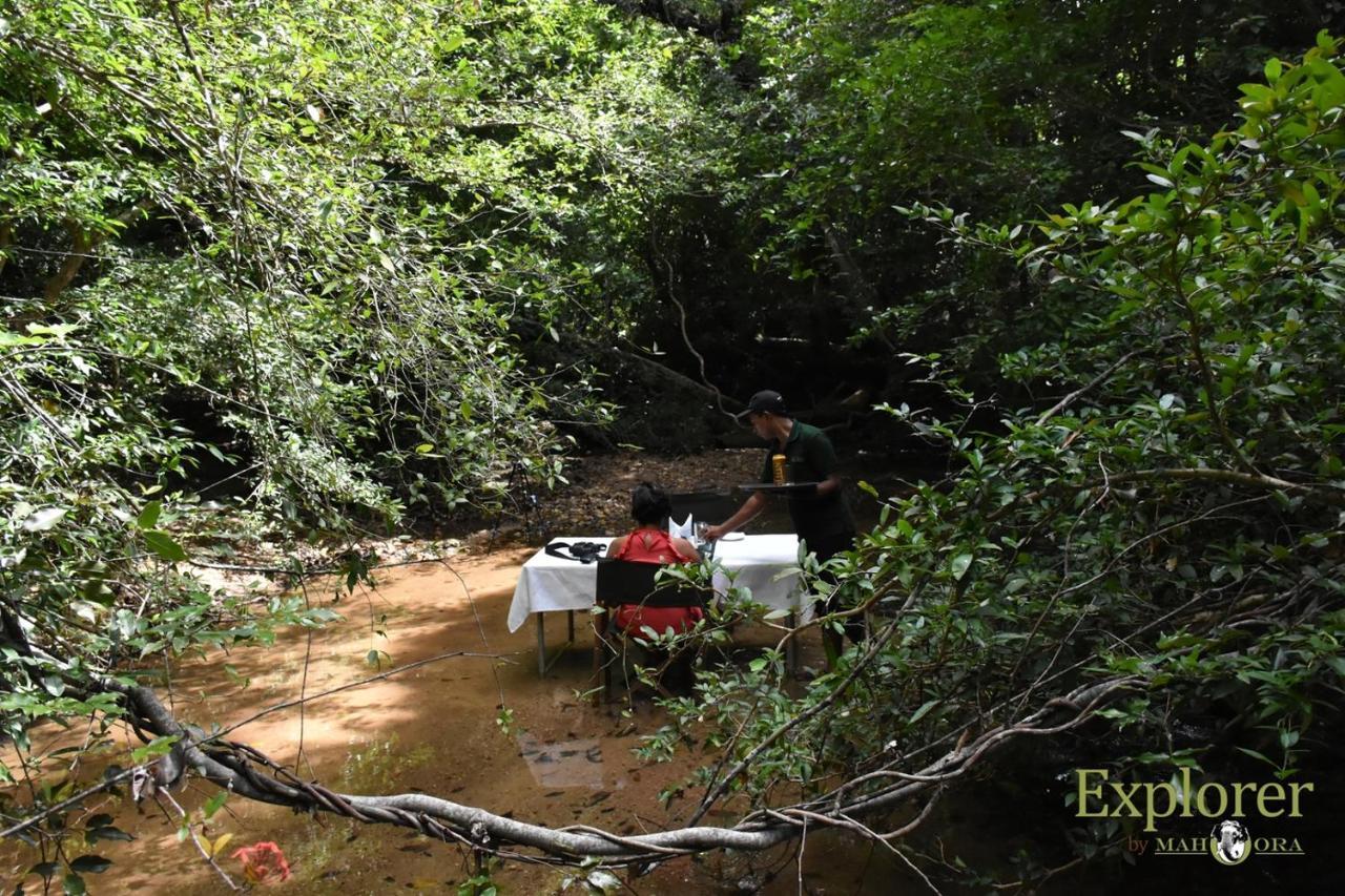 Explorer By Eco Team - Wasgamuwa National Park Luaran gambar
