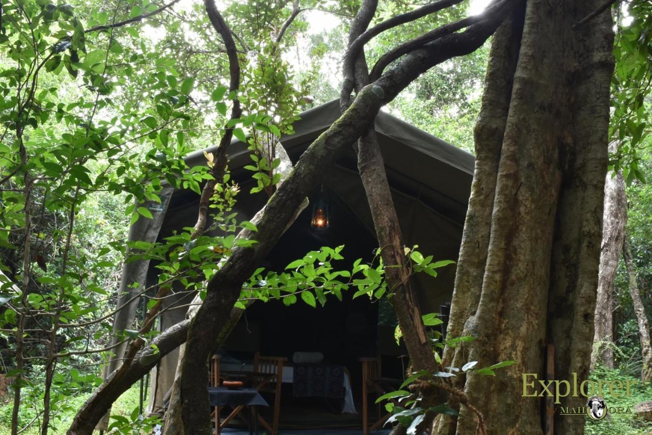 Explorer By Eco Team - Wasgamuwa National Park Luaran gambar
