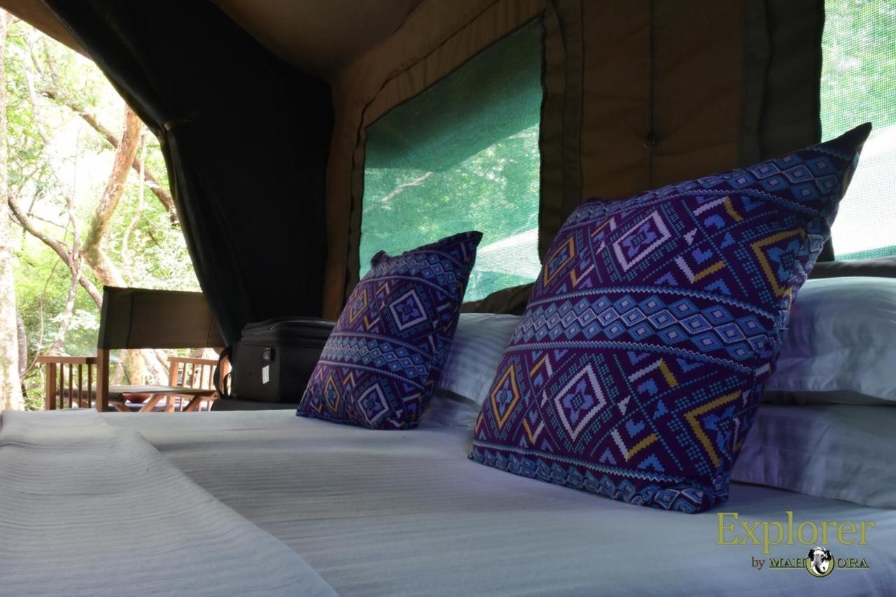 Explorer By Eco Team - Wasgamuwa National Park Luaran gambar