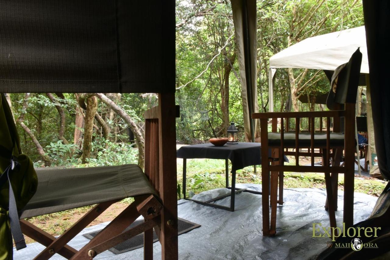 Explorer By Eco Team - Wasgamuwa National Park Luaran gambar