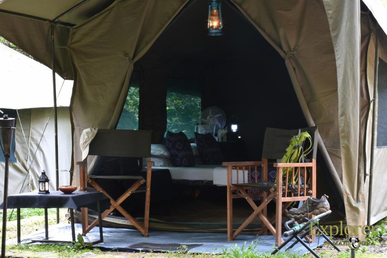 Explorer By Eco Team - Wasgamuwa National Park Luaran gambar