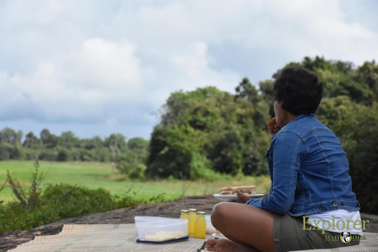Explorer By Eco Team - Wasgamuwa National Park Luaran gambar