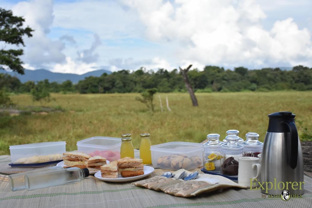 Explorer By Eco Team - Wasgamuwa National Park Luaran gambar