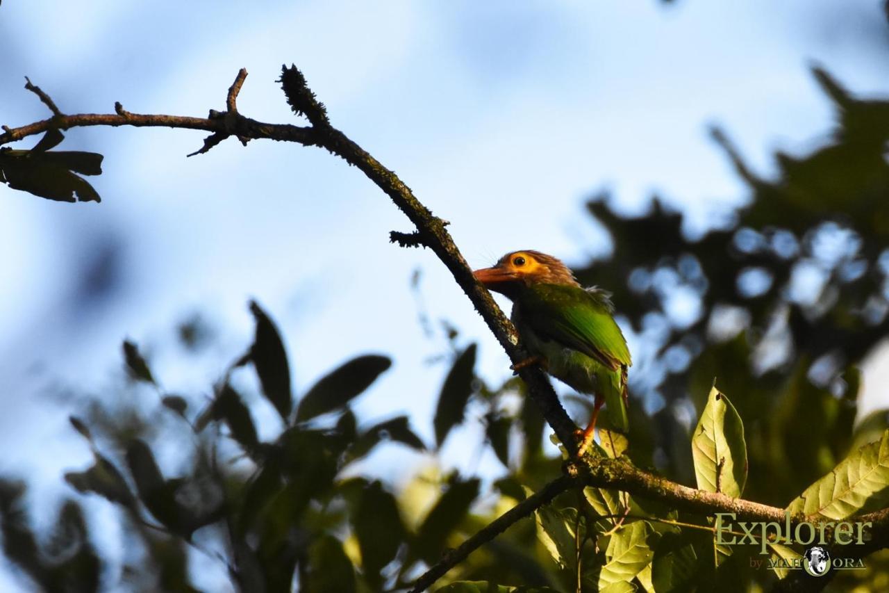 Explorer By Eco Team - Wasgamuwa National Park Luaran gambar