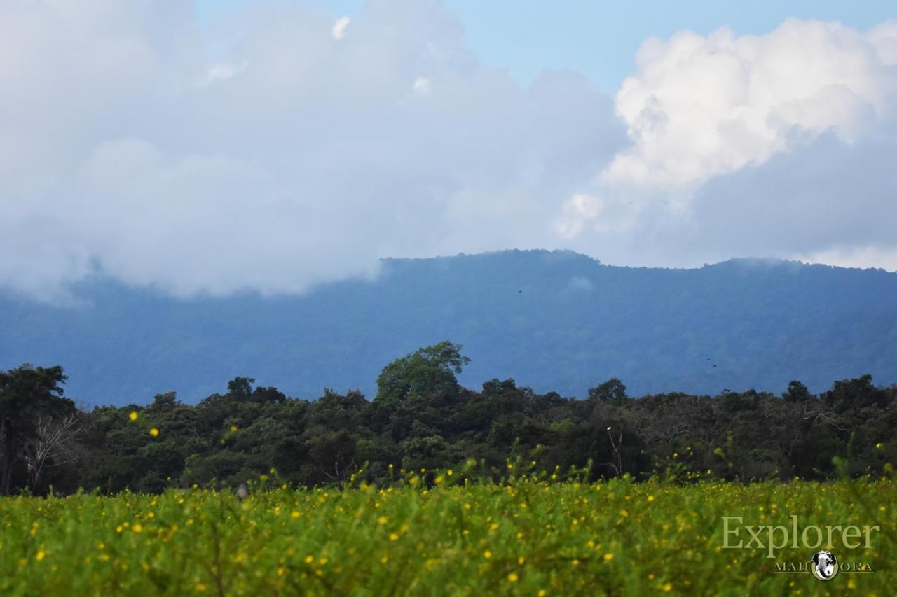 Explorer By Eco Team - Wasgamuwa National Park Luaran gambar
